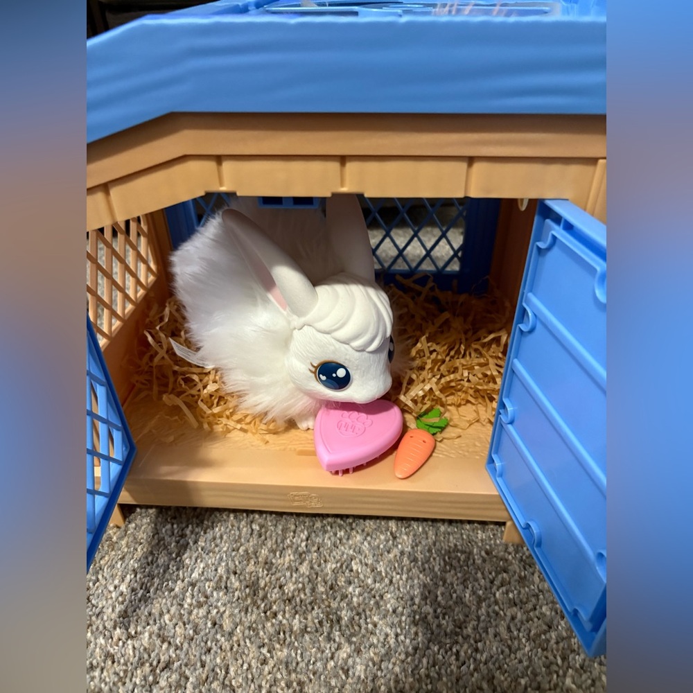 Little live pets